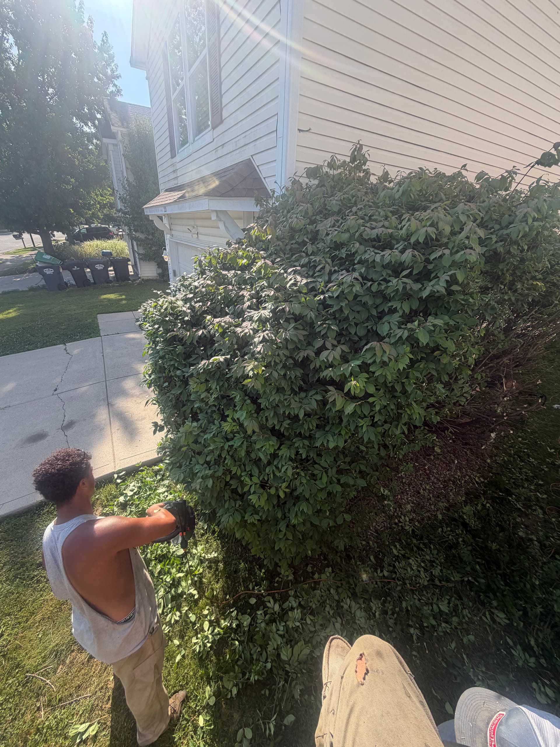 Gallery photos for Lawn Cuts, Bush Trimming, and Grading Keeping Local Properties Sharp: Image #3