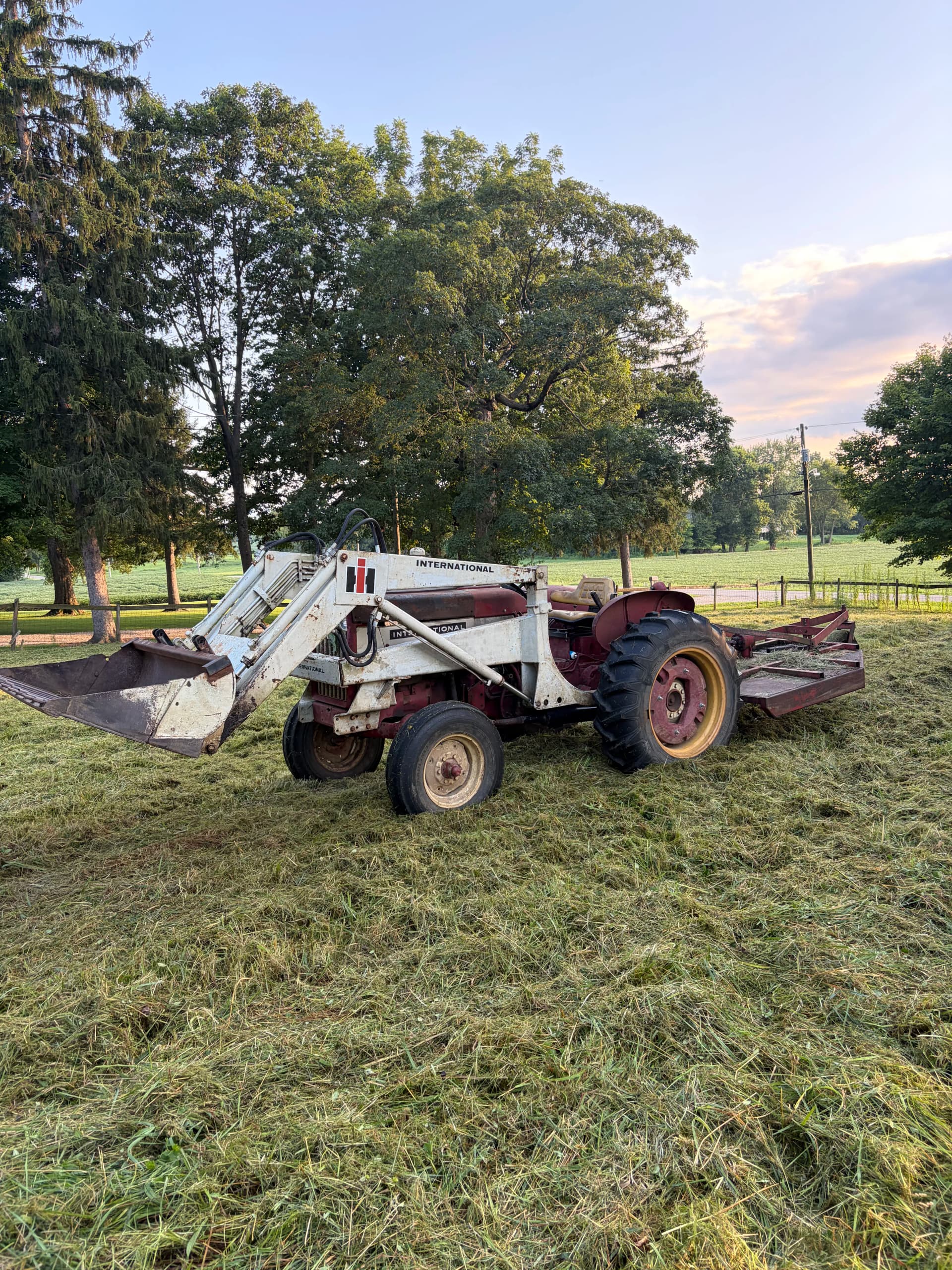 Gallery photos for Stump Grinding, Land Clearing, and Deer Plot Prep Done Right: Image #6