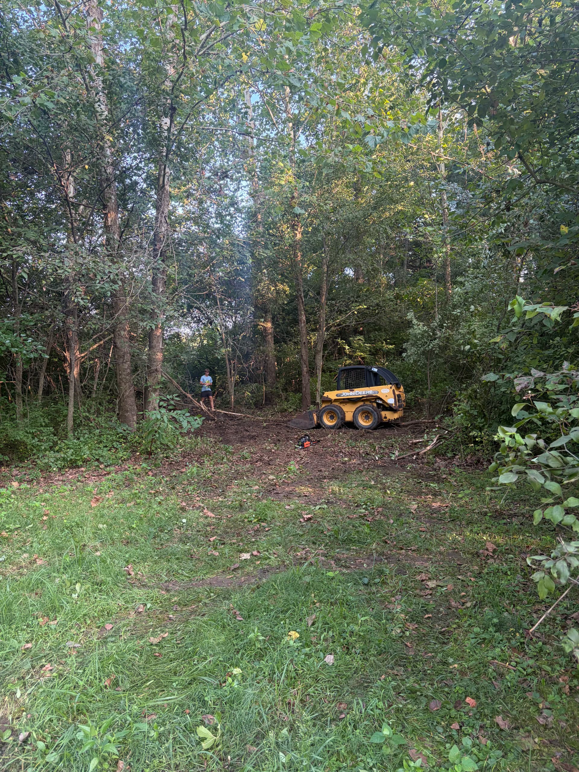 Gallery photos for Stump Grinding, Land Clearing, and Deer Plot Prep Done Right: Image #5