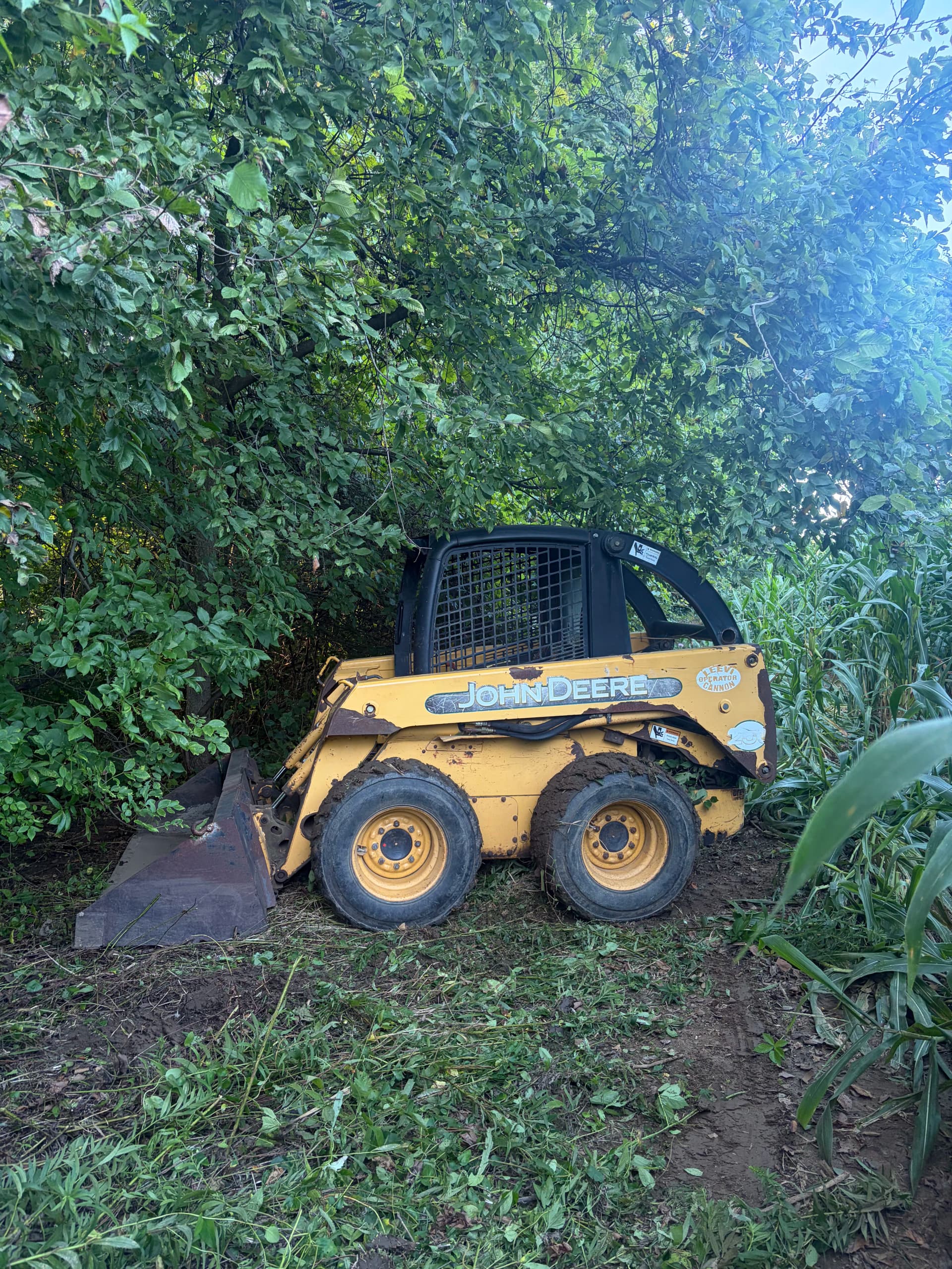 Gallery photos for Stump Grinding, Land Clearing, and Deer Plot Prep Done Right: Image #3