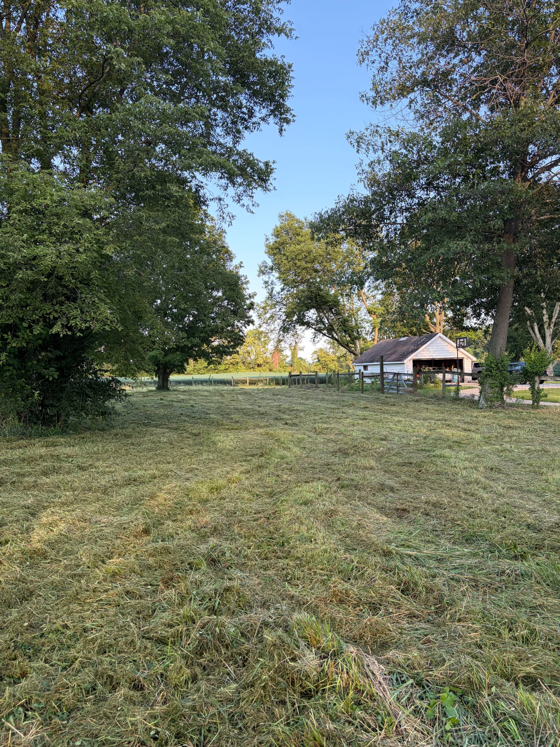 Gallery photos for Stump Grinding, Land Clearing, and Deer Plot Prep Done Right: Image #7